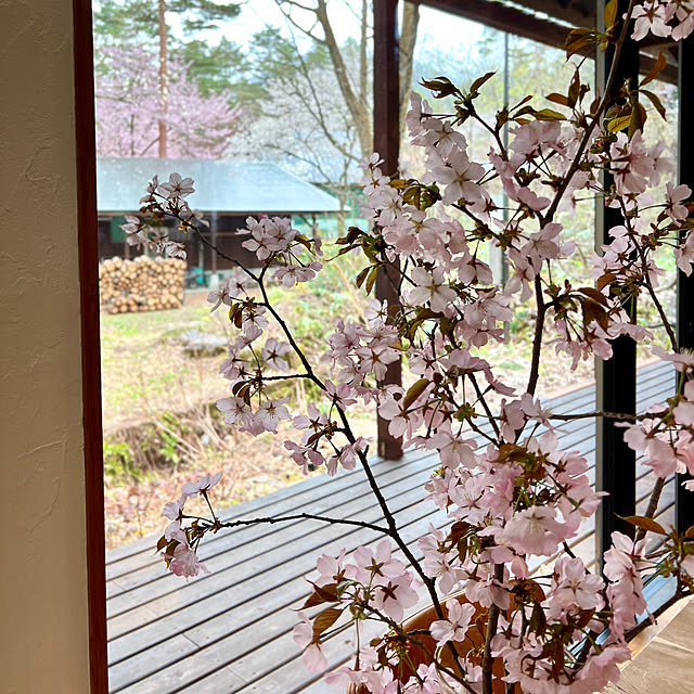 Kikko.さんの部屋