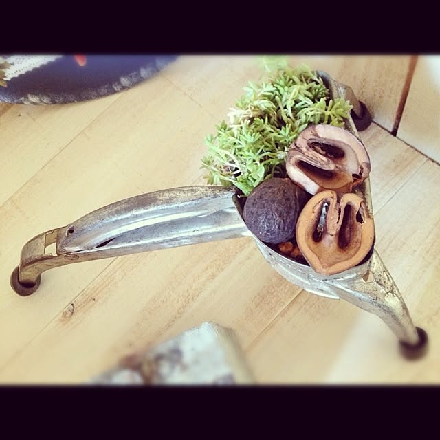 naberiさんの実例写真