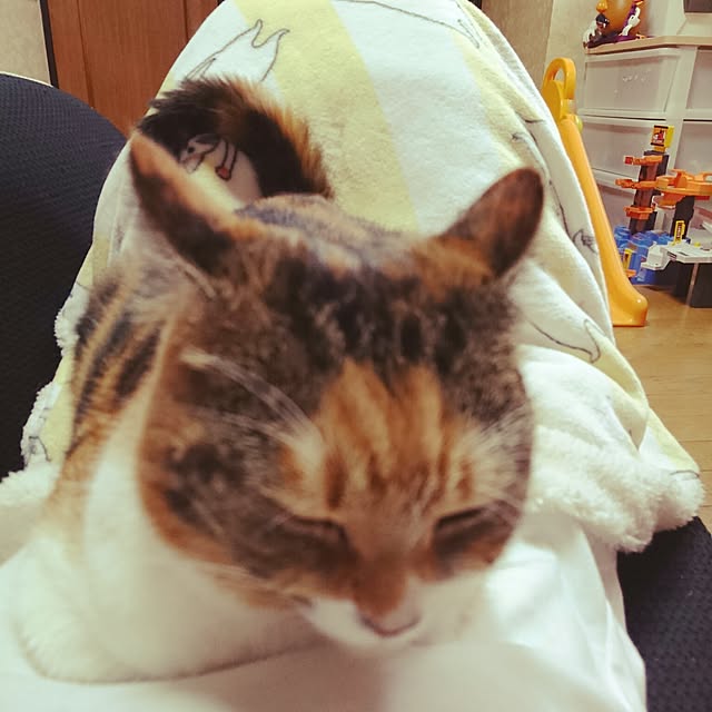 yukieさんの実例写真