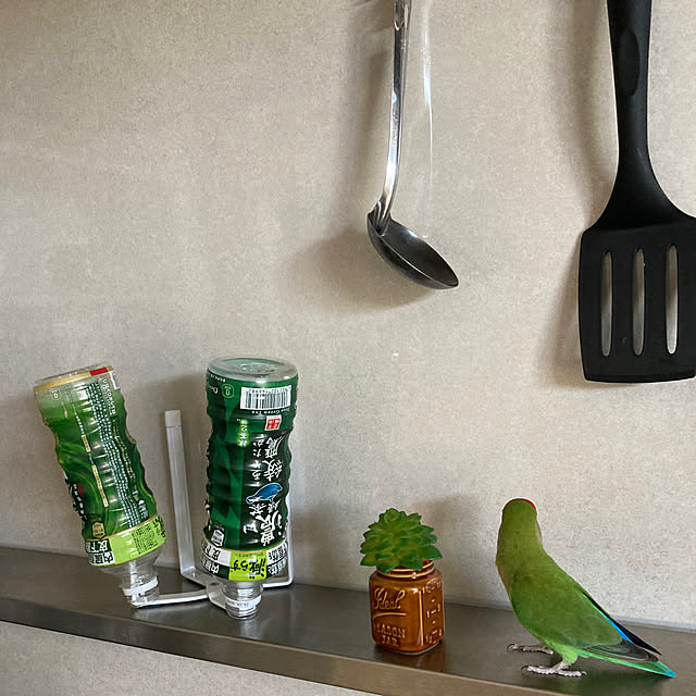 toratanさんの部屋