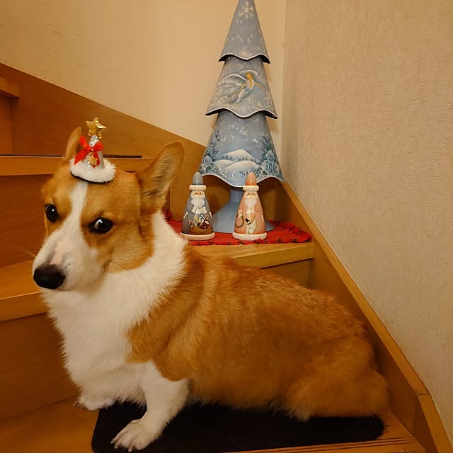 kyon814さんの部屋