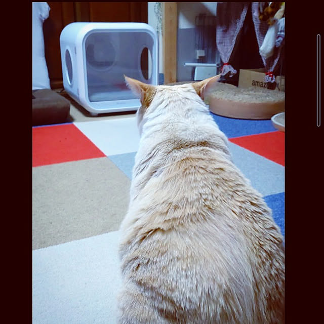 mntcさんの実例写真