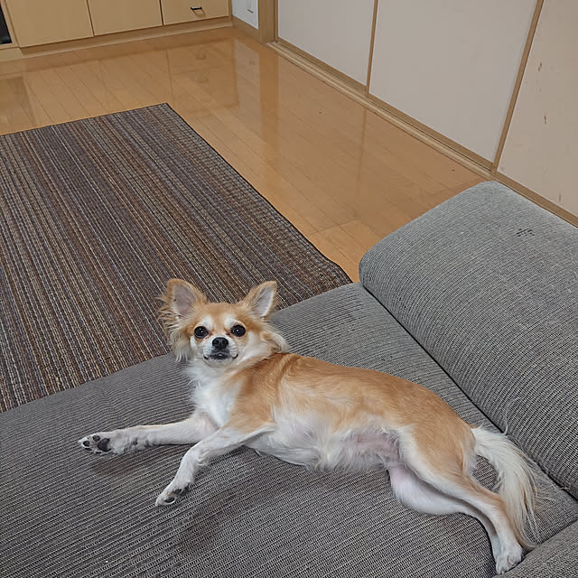 nattimomoさんの実例写真