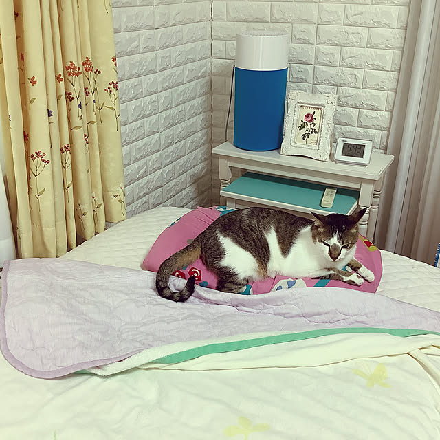 haruminさんの実例写真