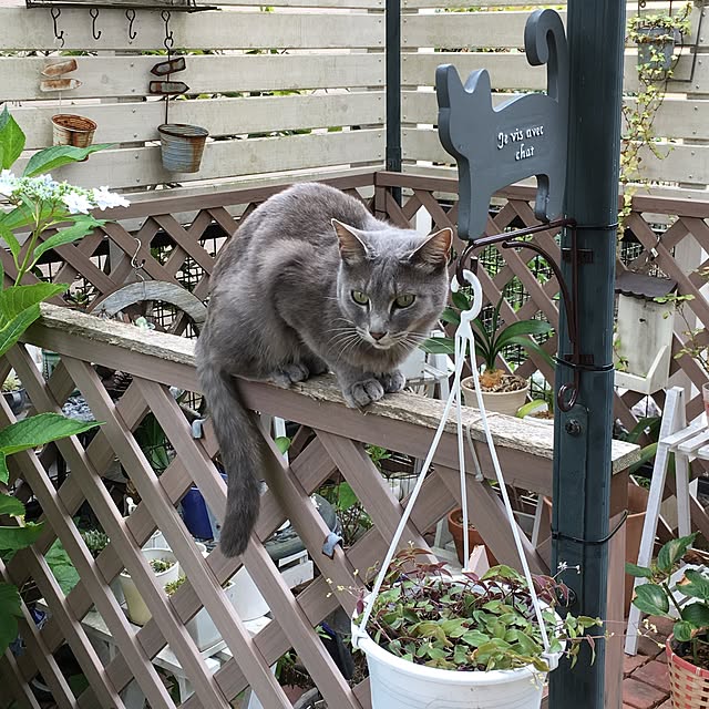 tasshiyさんの実例写真