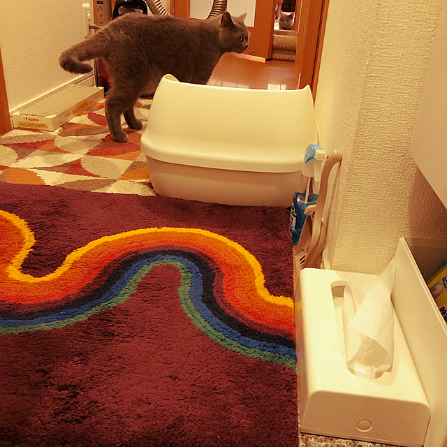ikettenさんの実例写真