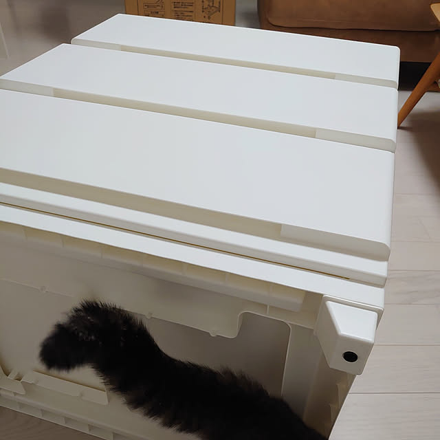 ninimomoさんの実例写真