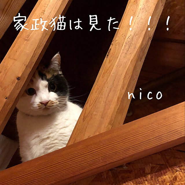 nicoさんの実例写真