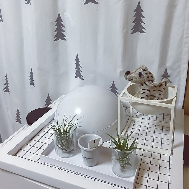 mm_midori0906さんの実例写真