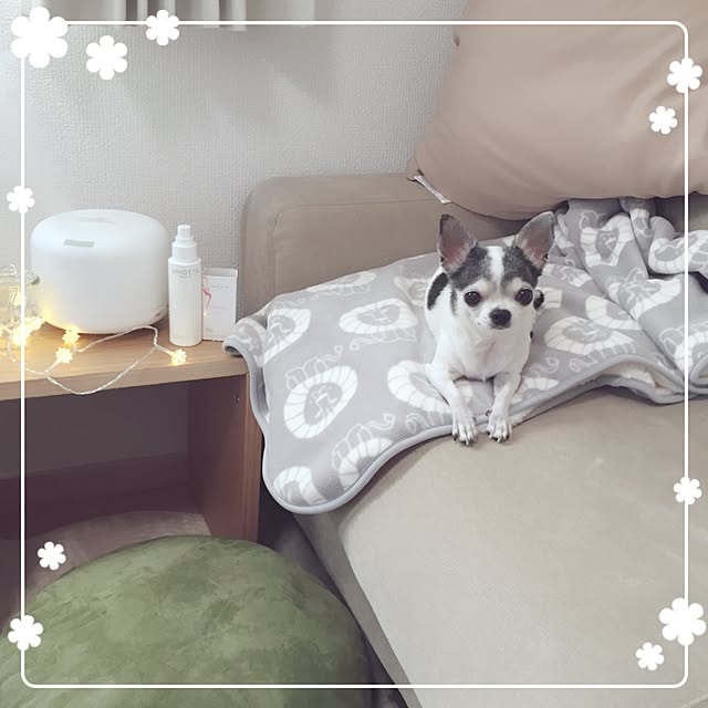 Emiさんの実例写真