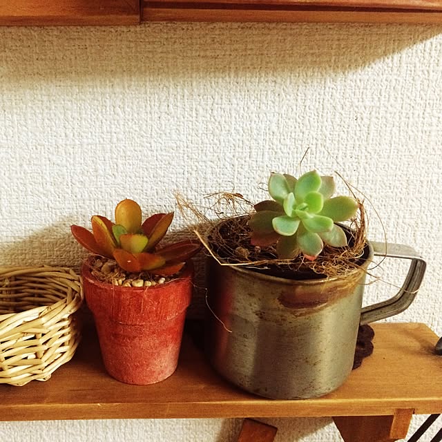 w.bさんの実例写真