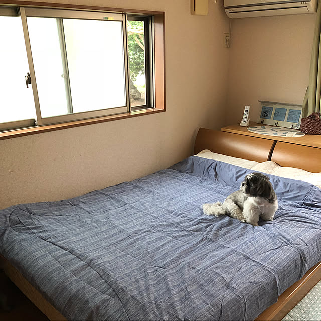tenmaruさんの実例写真