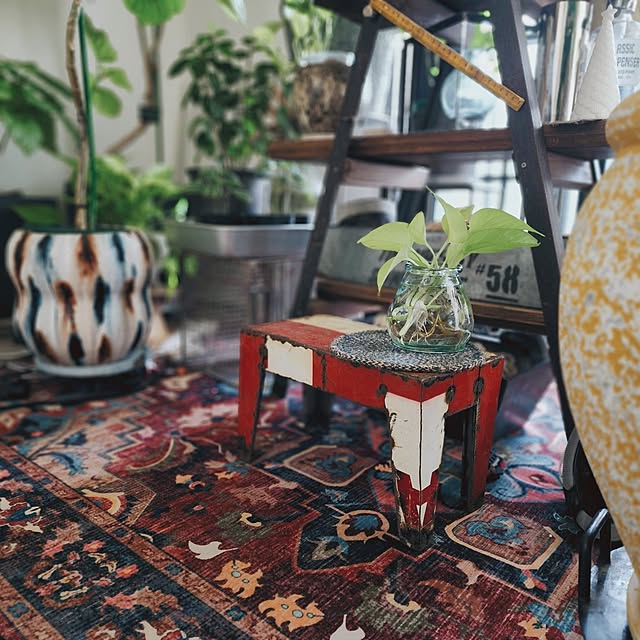 CYNOSさんの実例写真