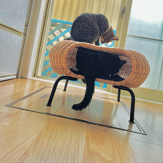 masamasaさんの実例写真