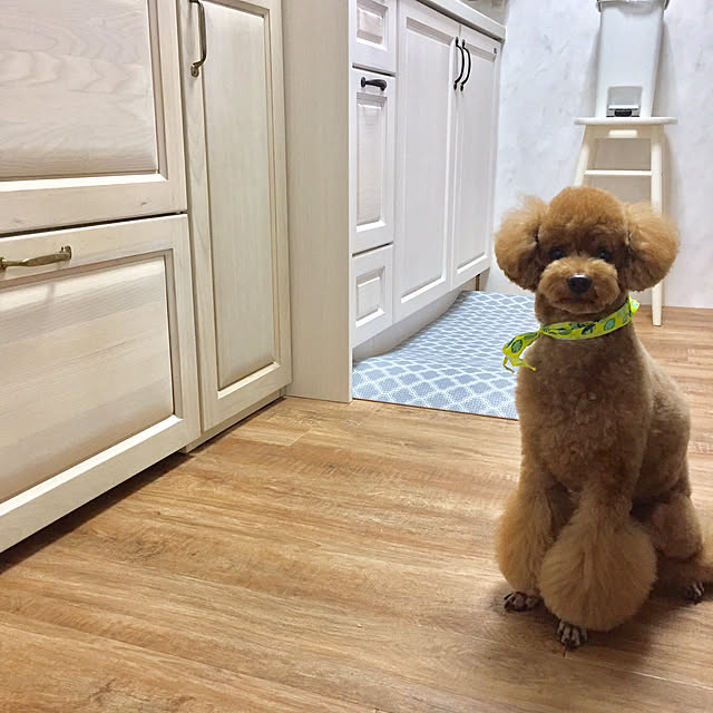 Naomiさんの実例写真