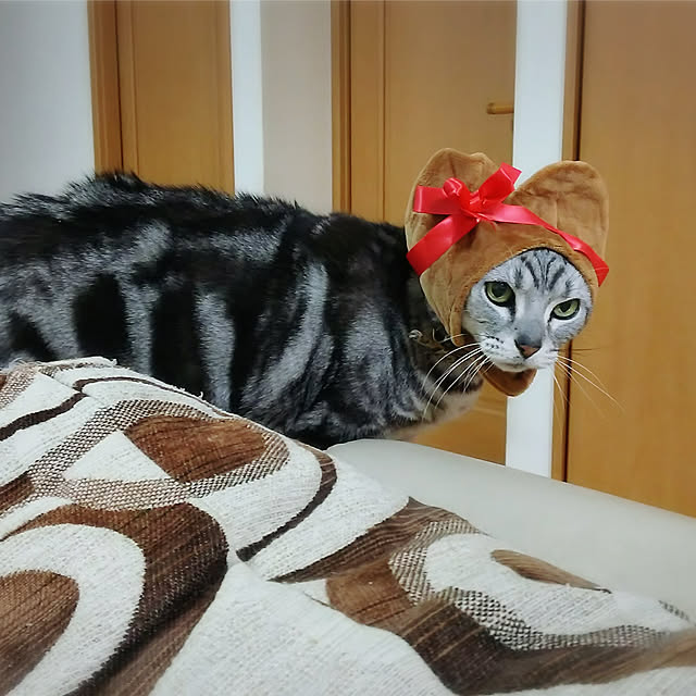 yuri.sさんの実例写真
