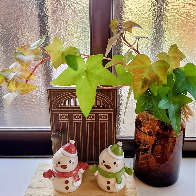 HARUNEKOさんの部屋