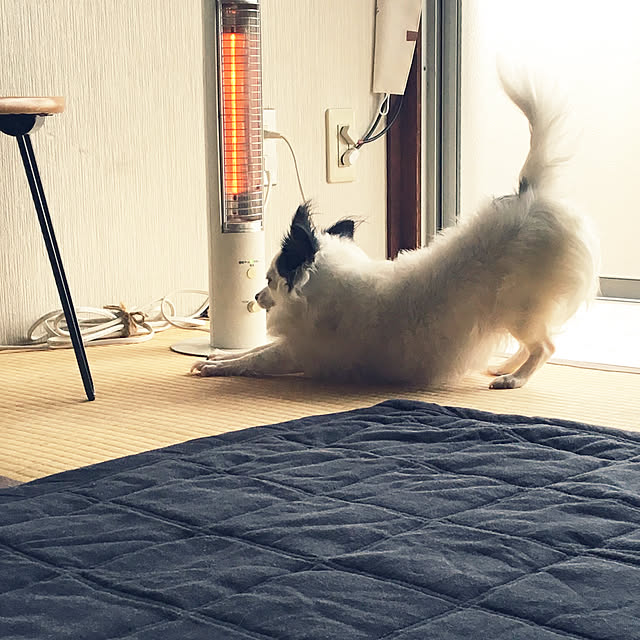 ohanaさんの実例写真