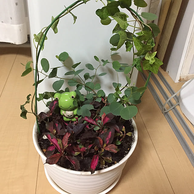 emiさんの実例写真