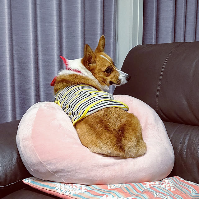 megusuke39さんの実例写真
