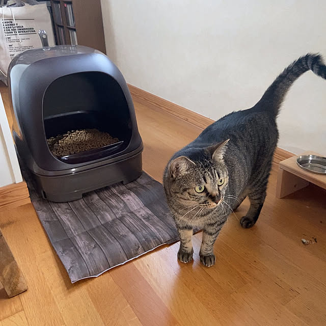 sachiさんの実例写真