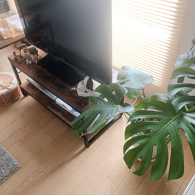 kanaさんの実例写真