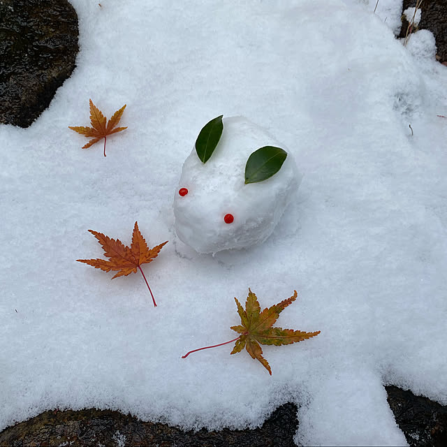 mignonさんの実例写真