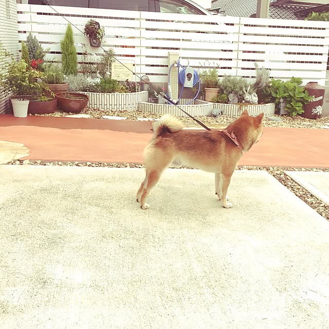 hanakoさんの実例写真