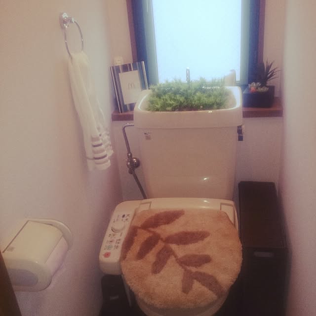 mine-catsさんの実例写真