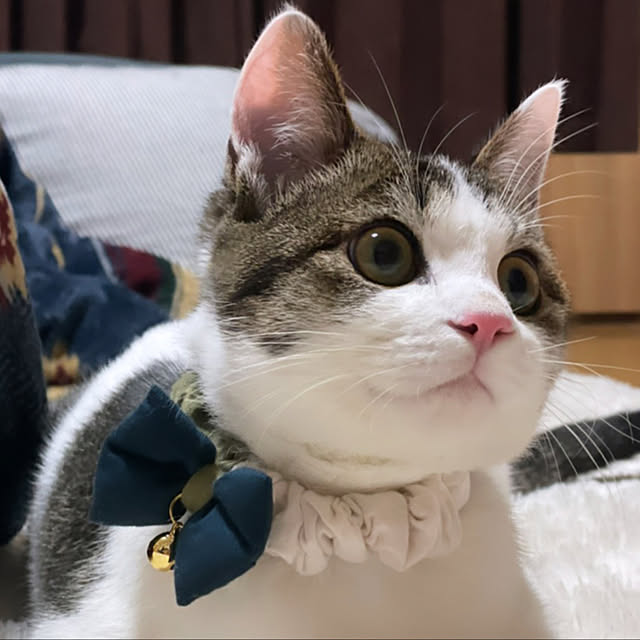 Akiさんの実例写真