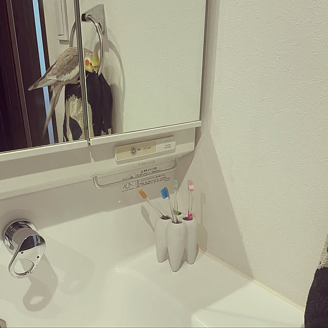 misakokkoさんの実例写真