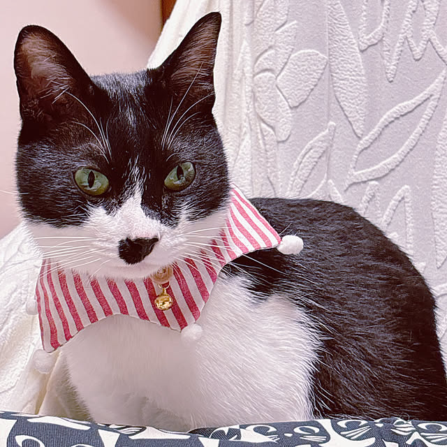 moolさんの部屋
