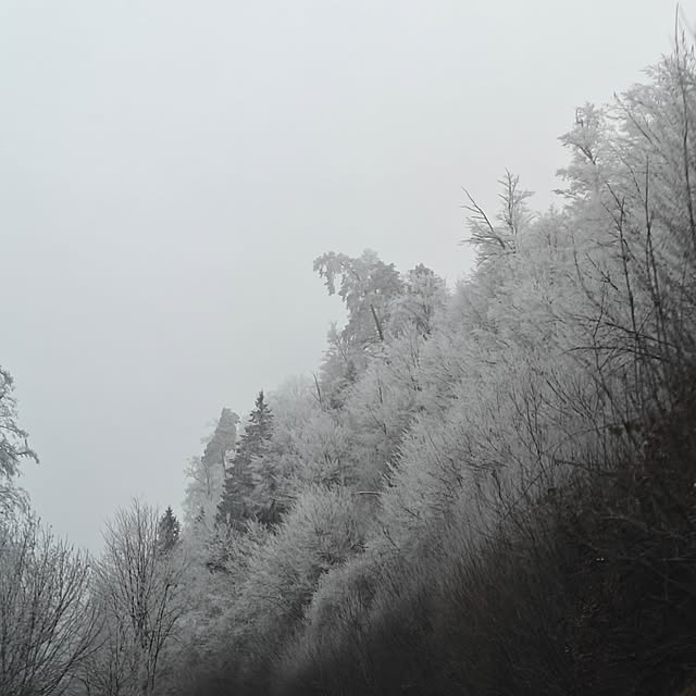 lustigさんの部屋