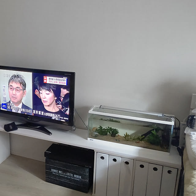 kameponさんの実例写真