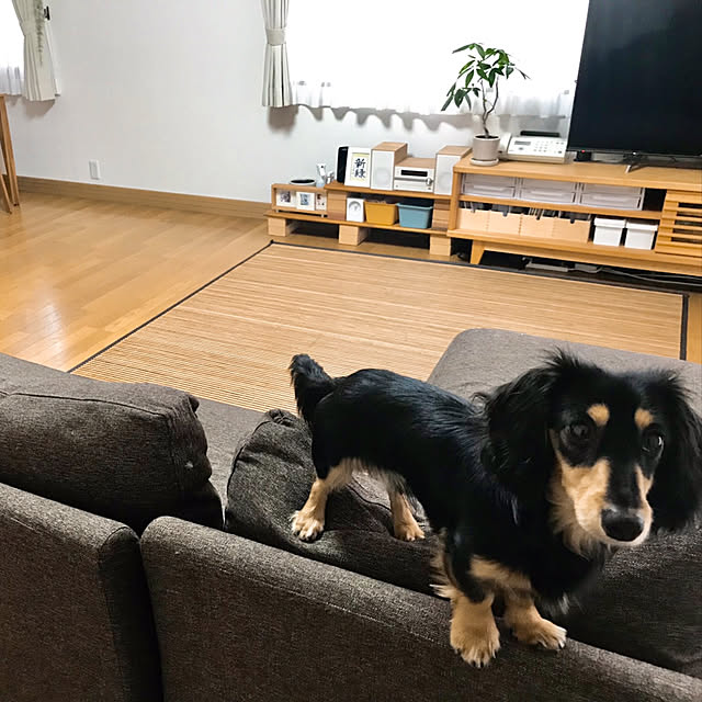 yukoさんの実例写真