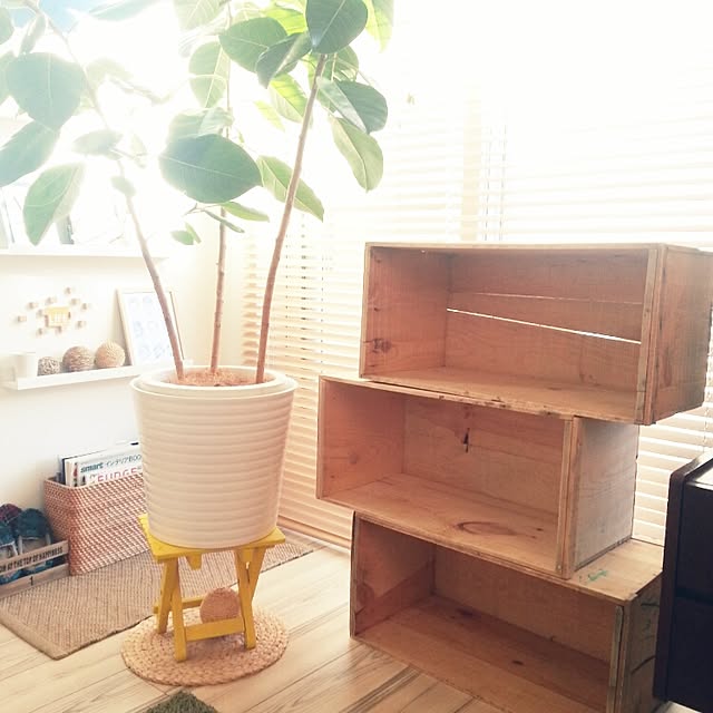 リンゴ木箱のおすすめ商品とおしゃれな実例 | RoomClip(ルーム リンゴ木箱のおすすめ商品とおしゃれな実例 | RoomClip(ルーム