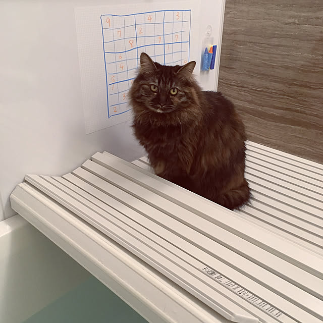 mikomaruさんの実例写真