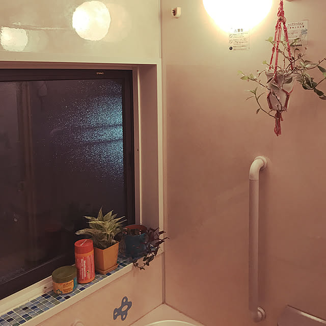ariceさんの実例写真