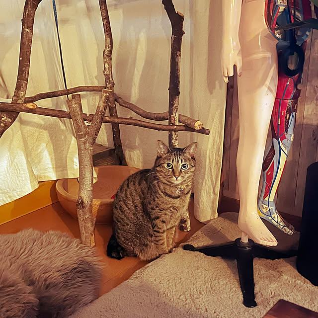 Mさんの部屋