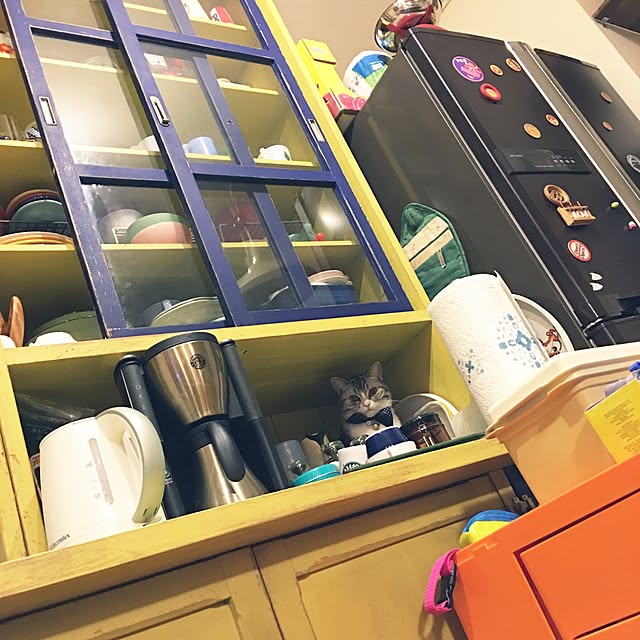 Shojiさんの実例写真