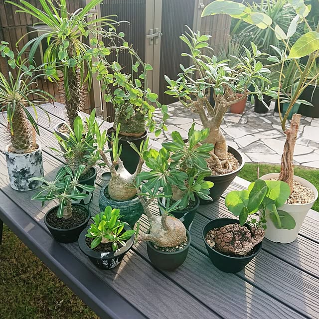 ot-gardenさんの部屋