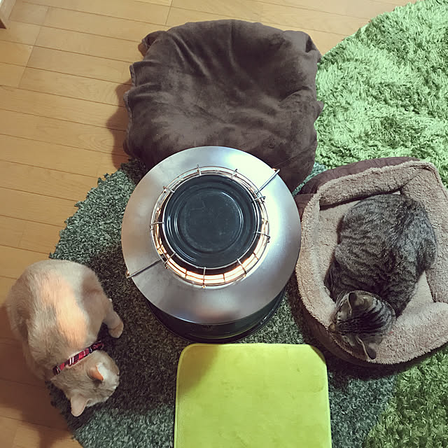 mikan161さんの実例写真