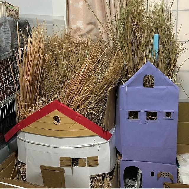mori_6_12さんの部屋