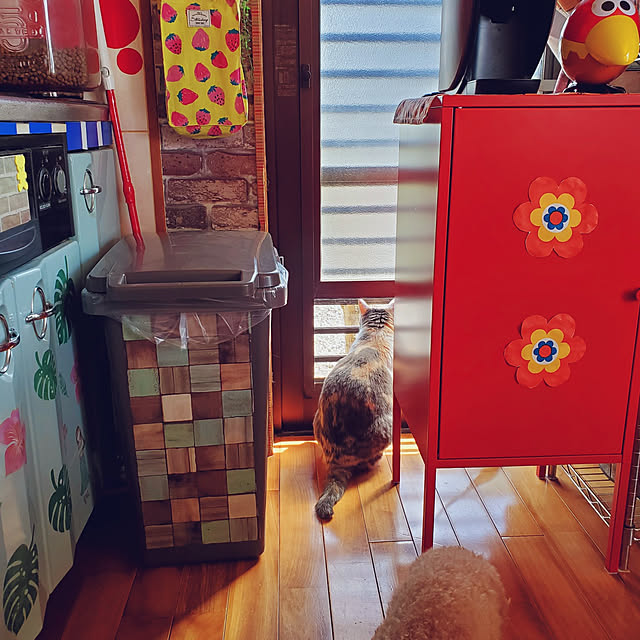 kumutanさんの実例写真