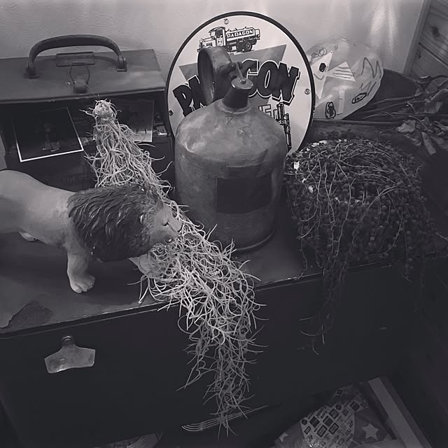 rinppさんの実例写真