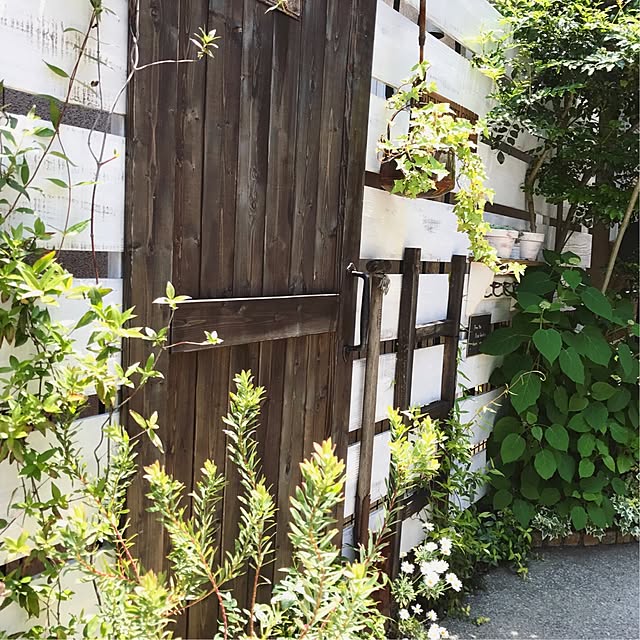 sakuさんの実例写真