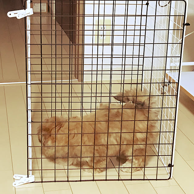 ameonnaさんの実例写真