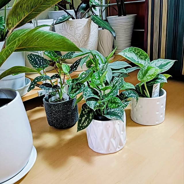 hanachanさんの部屋