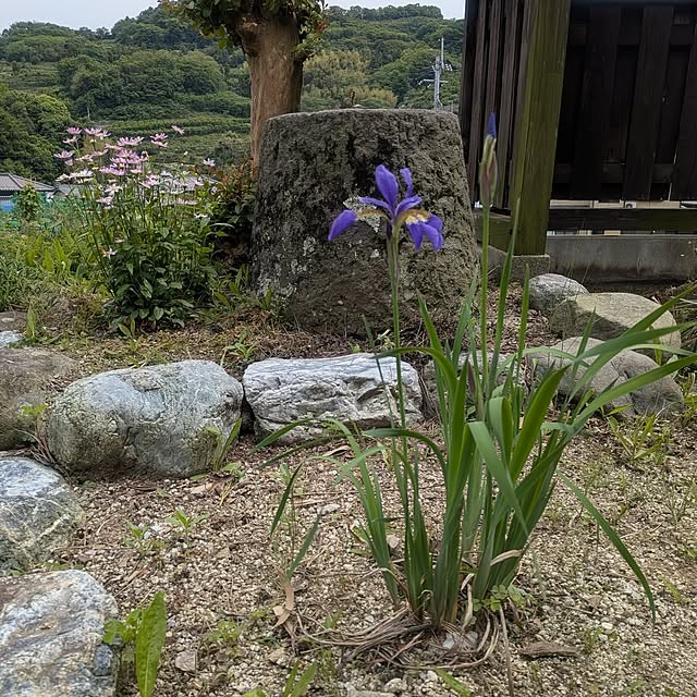 kuririnmamaさんの部屋