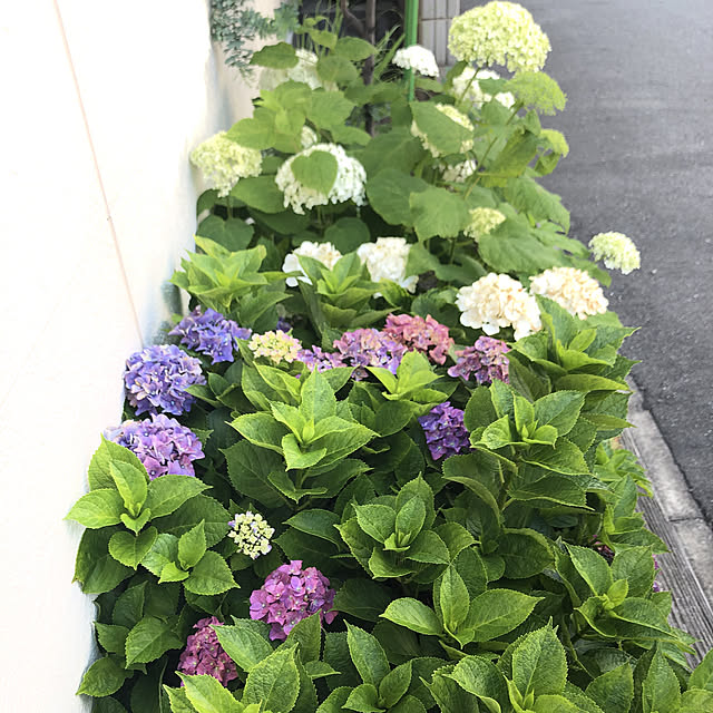 KaiKaiさんの実例写真